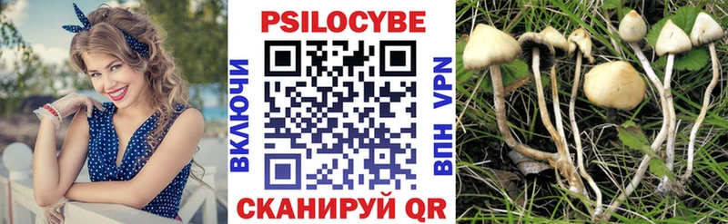 Псилоцибиновые грибы мухоморы  Пустошка 